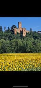a castle sitting on top of a field of yellow flowers at Residenza Tipo 00 Zero Zero in CastellʼArquato