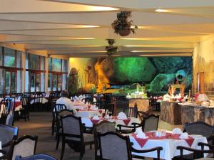 a dining room with tables and chairs and a mural at Gooderson Natal Spa Hot Springs Resort in Paulpietersburg