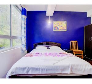 Un dormitorio azul con una cama y una ventana. en Aura Homes, en Gangtok