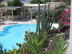 Bazen u ili blizu objekta Corali Beach Hotel