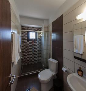 a bathroom with a toilet and a shower and a sink at Ianthi Maisonettes in Nea Roda