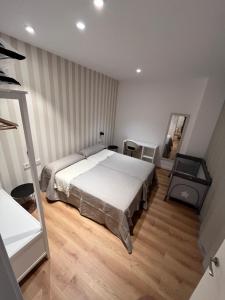 a bedroom with a large bed and a mirror at Apartamento Xogo da Ola En el camino De Santiago in Porriño