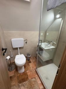 a bathroom with a toilet and a sink at Apartma Arja in Spodnje Gorje +11 photos