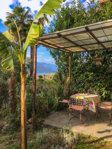een tafel en stoelen onder een pergola met een palmboom bij Appartamento Ibisco in Porto Valtravaglia