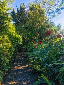een tuin met rode bloemen en groene planten bij Appartamento Ibisco in Porto Valtravaglia