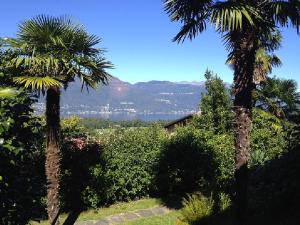 twee palmbomen met uitzicht op het water bij Appartamento Ibisco in Porto Valtravaglia +10 foto's