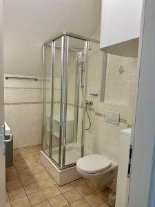 a bathroom with a shower and a toilet at Appartements Rocky Lake in Techelsberg am Worthersee