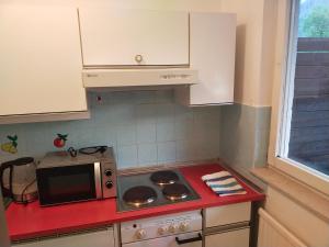 Kuchyň nebo kuchyňský kout v ubytování Spa Apartment in den Alpen