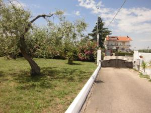 a house with a tree on the side of a road at MA.DI BB in Rocca San Giovanni