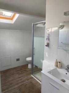 a bathroom with a shower and a sink and a toilet at Maison avec jardin, à deux pas de Paris in Deuil-la-Barre