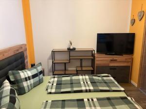 Μια τηλεόραση ή/και κέντρο ψυχαγωγίας στο Bayerwaldapartment