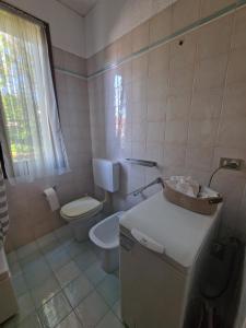 a small bathroom with a toilet and a sink at Il Glicine di Marco Polo in Cavallino-Treporti