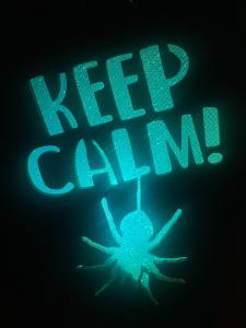 a green sign that reads net gain with a spider at Centro histórico de CHIA habitaciones baño compartido parqueadero in Chía