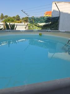 a close up of a swimming pool at Bruno in Amora