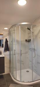 a shower with a glass enclosure in a bathroom at MaxLux Apartments in Slovenj Gradec
