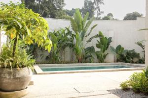 a swimming pool in a garden with plants at Innoplaza Cocody in Abidjan +17 photos