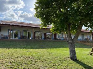Ein Baum im Hof eines Hauses in der Unterkunft Herdade dos Sepol in Odivelas + 46 Fotos