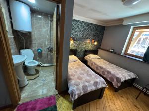 a hotel room with two beds and a shower at Daeli Hotel in Mestia +35 photos