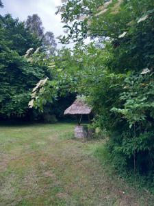 Gallery image of Chaumiere normande in Sainte-Opportune-la-Mare