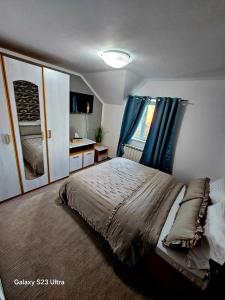 Un dormitorio con una cama grande y un baño. en Mera Holiday Inn, en Albeştii Pămînteni