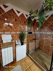 y baño con ducha a ras de suelo. en Mera Holiday Inn, en Albeştii Pămînteni