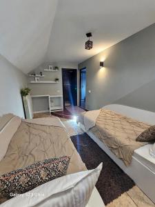 a bedroom with two beds in a room at Mera Holiday Inn in Albeştii Pămînteni