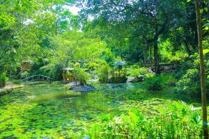 Příroda nedaleko rezortu