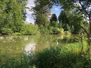 a body of water with trees and bushes at 2 pièces avec jardin bord de seine proche forêt Fontainebleau in Samois-sur-Seine