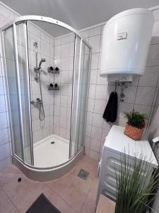 Koupelna v ubytování Vineyard cottage Ranč pri Hanzeku