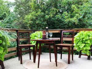 Zahrada ubytování Vineyard cottage Ranč pri Hanzeku