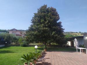 a tree and a white bench in a yard at Giulianova vacanze in Giulianova