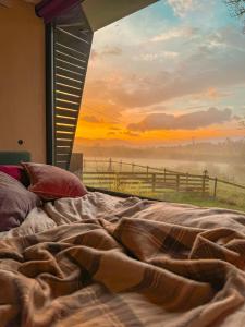 a bed in a room with a view of a field at Dog friendly cabin & hot tub and Cairngorm views in Aviemore