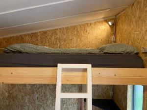 a bunk bed in a tiny house with a ladder at The Tiny House in Laugaras