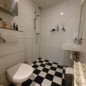a bathroom with a toilet and a sink at Zoet Amsterdam in Amsterdam