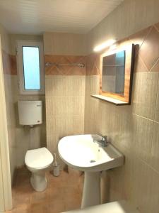 een badkamer met een wastafel, een toilet en een spiegel bij Port Breeze Apartment in Karlovasi +32 foto's