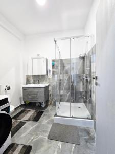 バイレ・フェリクスにあるApartament Alexandru- Băile Felixのシャワーと洗面台付きのバスルーム