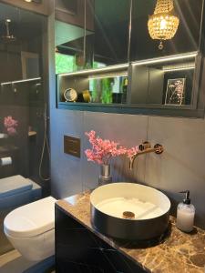 a bathroom with a sink and a toilet at Lux city apartment in Luxembourg