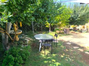 Φωτογραφία από το άλμπουμ του פינת נופש- סויטת הרימון עם בריכה משותפת σε Rosh Pinna