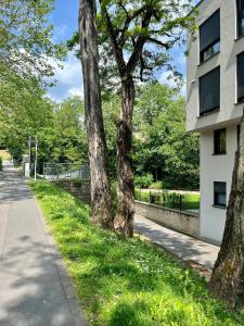 a row of trees next to a building at Lux city apartment in Luxembourg