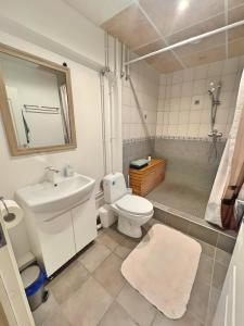 a bathroom with a toilet and a sink and a shower at Panda House - Luxury in Old Town in Tartu +14 photos