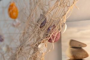 Billede fra billedgalleriet på Muschelsucher i Kalifornien