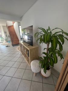 a living room with a tv and a potted plant at Roissy CDG, private room 1 in Roissy-en-France