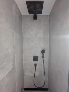 un baño con ducha con cabezal de ducha en Wasserschloss Apt, en Neukirchen