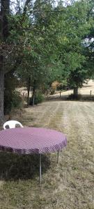 a purple table in a field with trees at Le camping-car de la Gardié in Vielmur-sur-Agout
