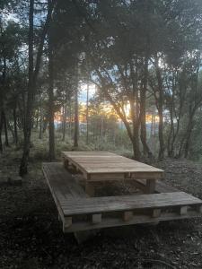 Φωτογραφία από το άλμπουμ του Angrill σε Lladurs