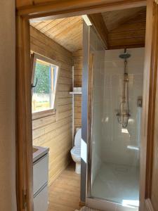 a bathroom with a toilet and a glass shower at Chalet Champ'&Bois in Blumeray +22 photos