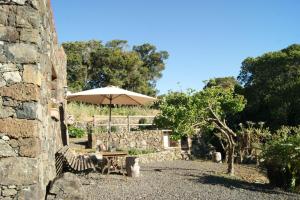a table with an umbrella next to a stone wall at Casas del Monte in Valverde