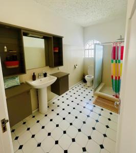 a bathroom with a sink and a shower and a toilet at Mont Choisy Lodge - Coco Apartment in Trou aux Biches
