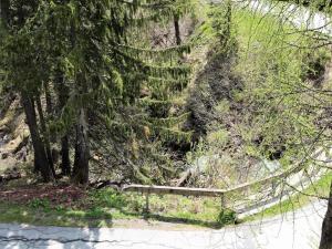 a set of stairs on a hill with trees at Chalet Nassfeld nahe Skipisten in Sonnenalpe Nassfeld
