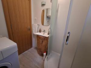 a bathroom with a sink and a mirror at Tvoja kućica za beg 2 in Plešin +32 photos